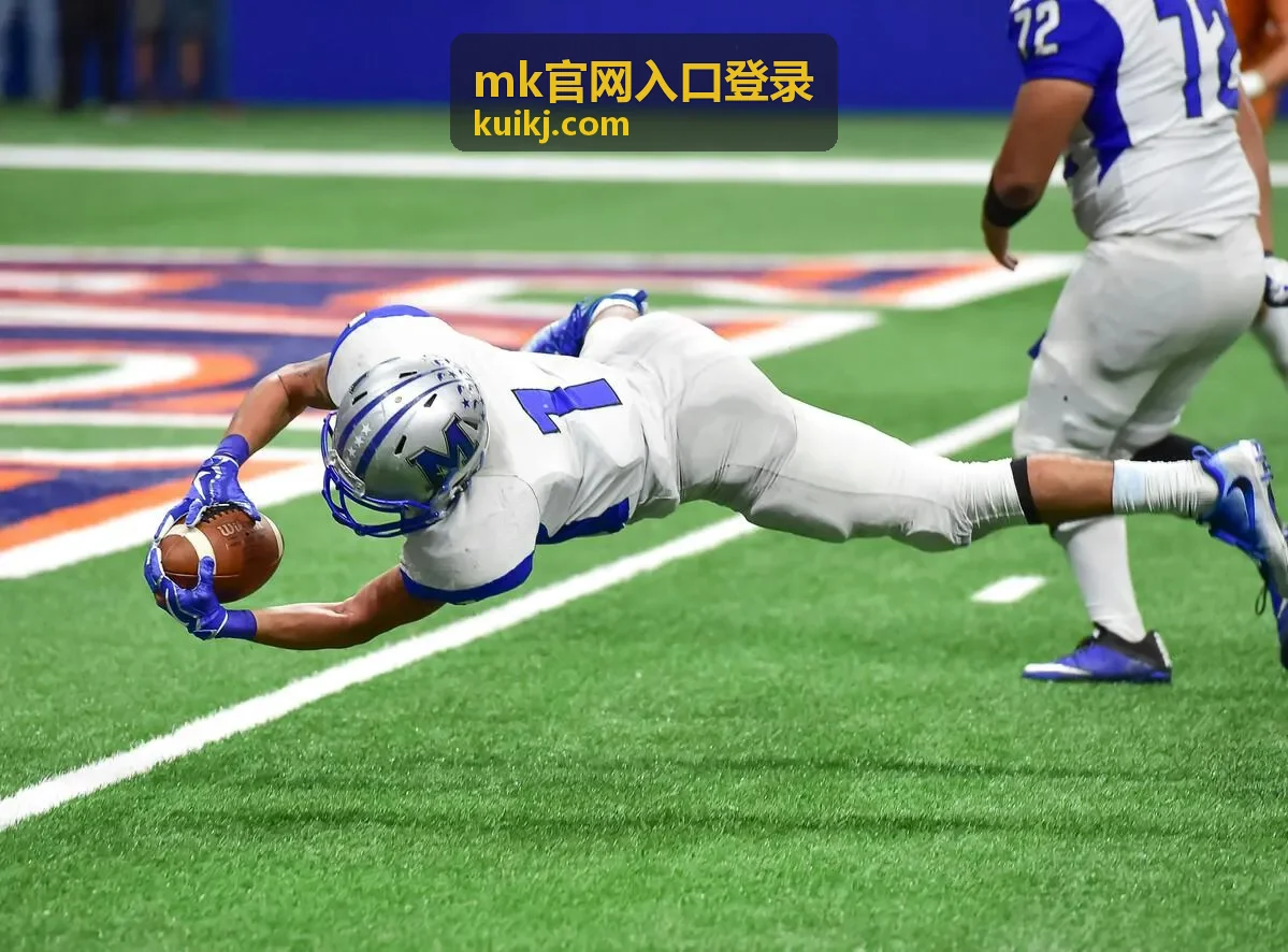 MK官网入口登录-安全验证流程说明图