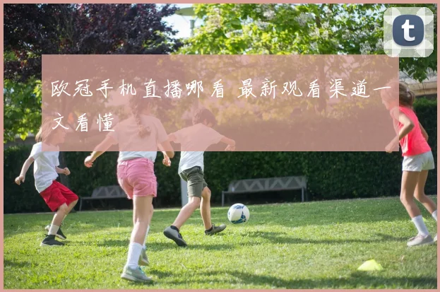 欧冠手机直播哪看 最新观看渠道一文看懂