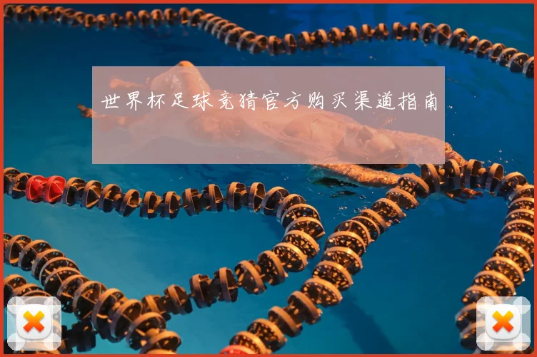 世界杯足球竞猜官方购买渠道指南