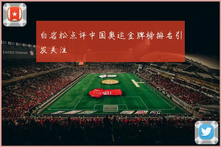 白岩松点评中国奥运金牌榜排名引发关注