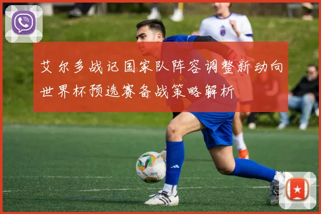 艾尔多战记国家队阵容调整新动向世界杯预选赛备战策略解析
