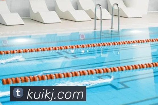 开云在线官网登录appAPP 封面图